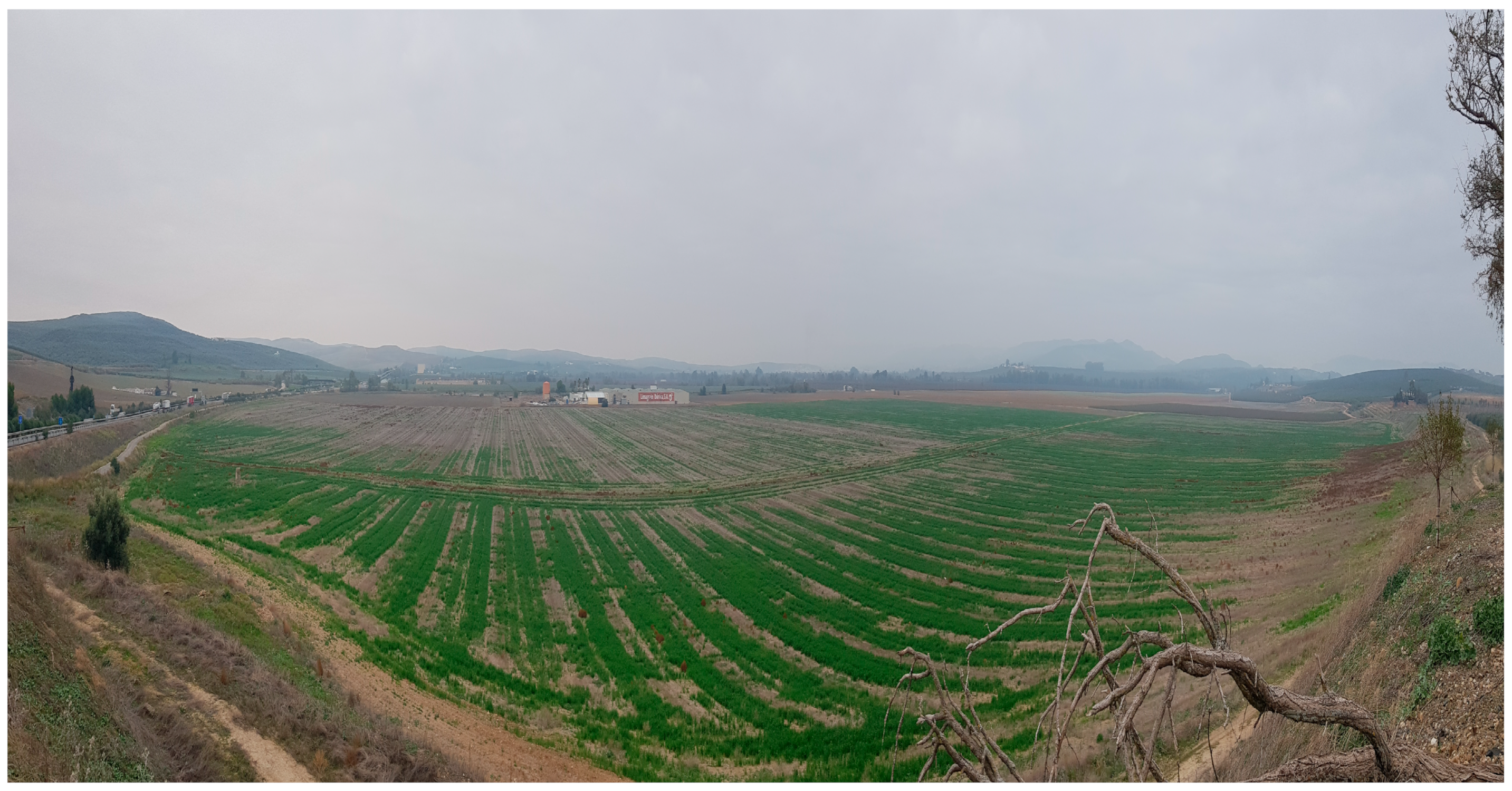 Sustainability 16 02034 g001