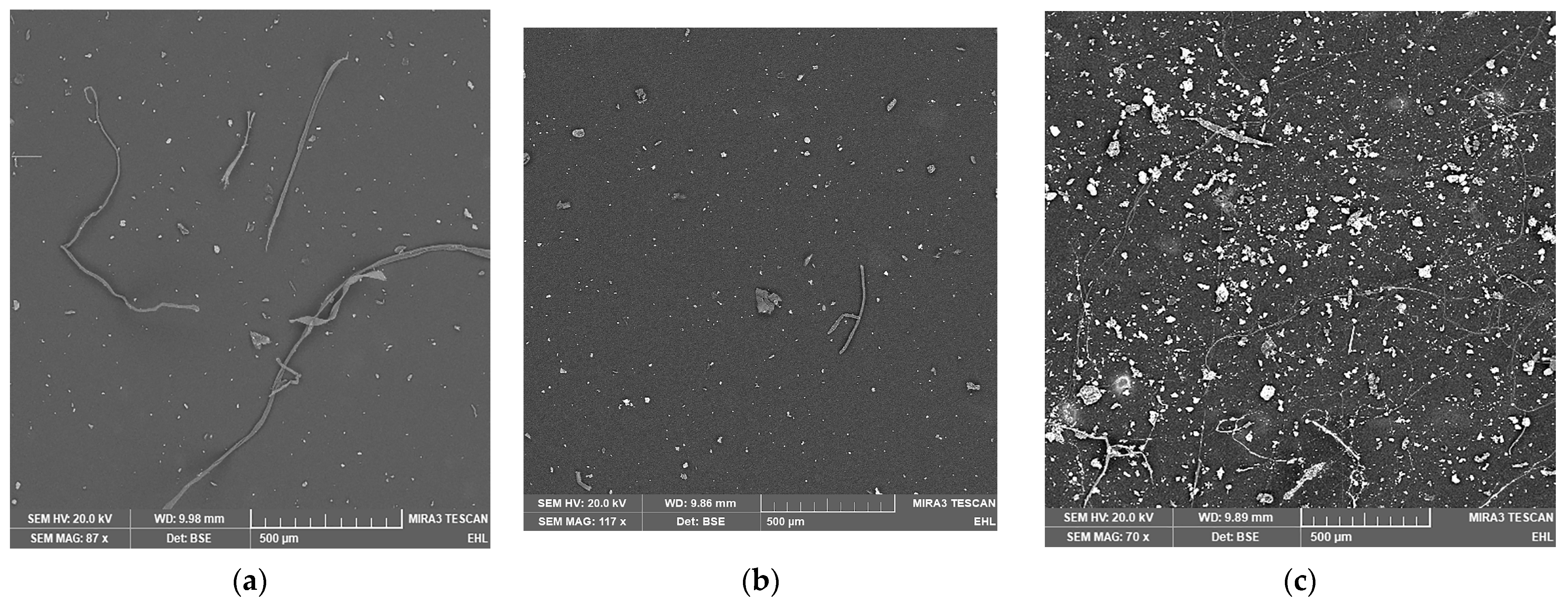 Sustainability 16 02052 g007
