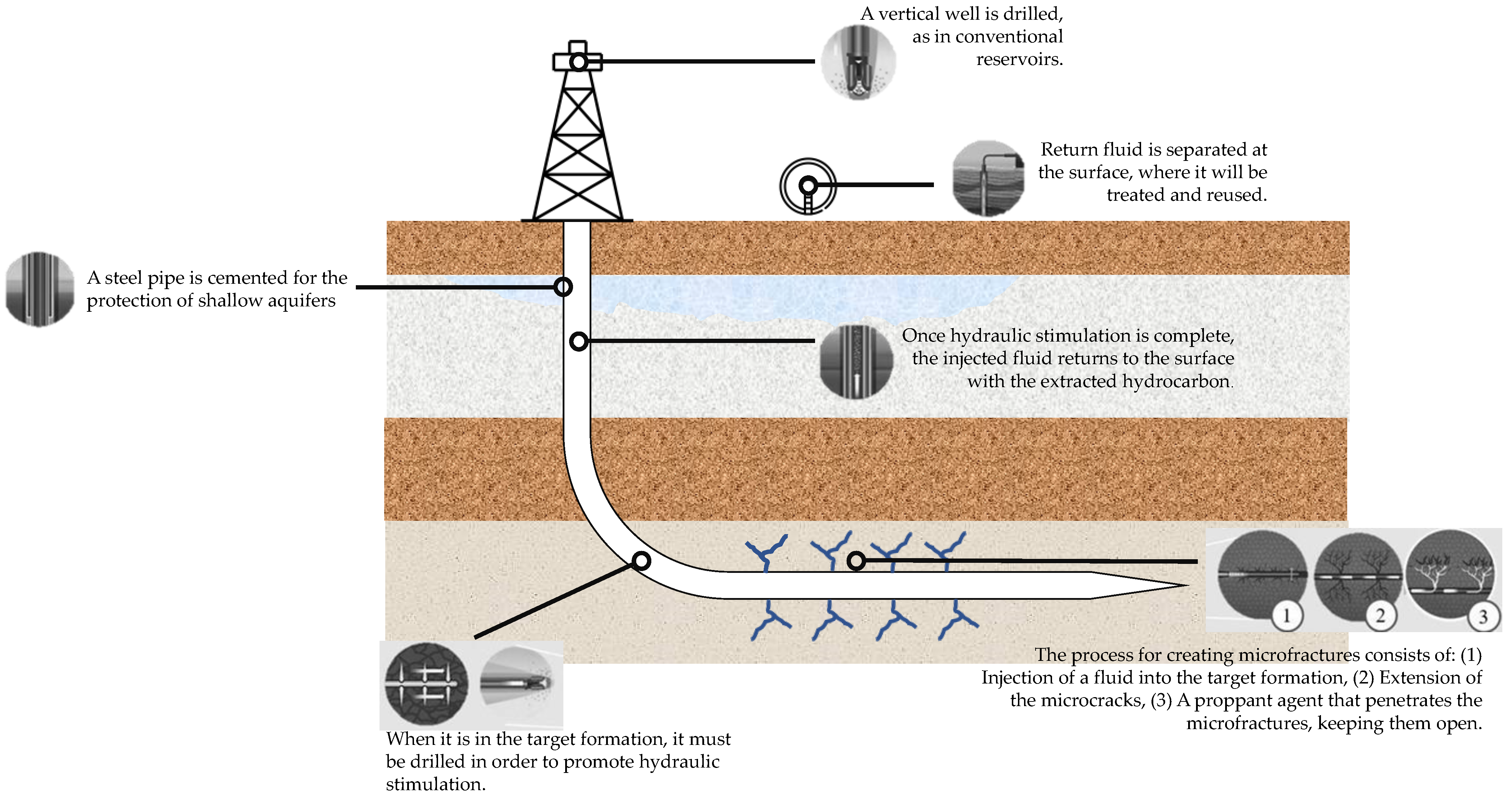 Sustainability 16 02063 g002