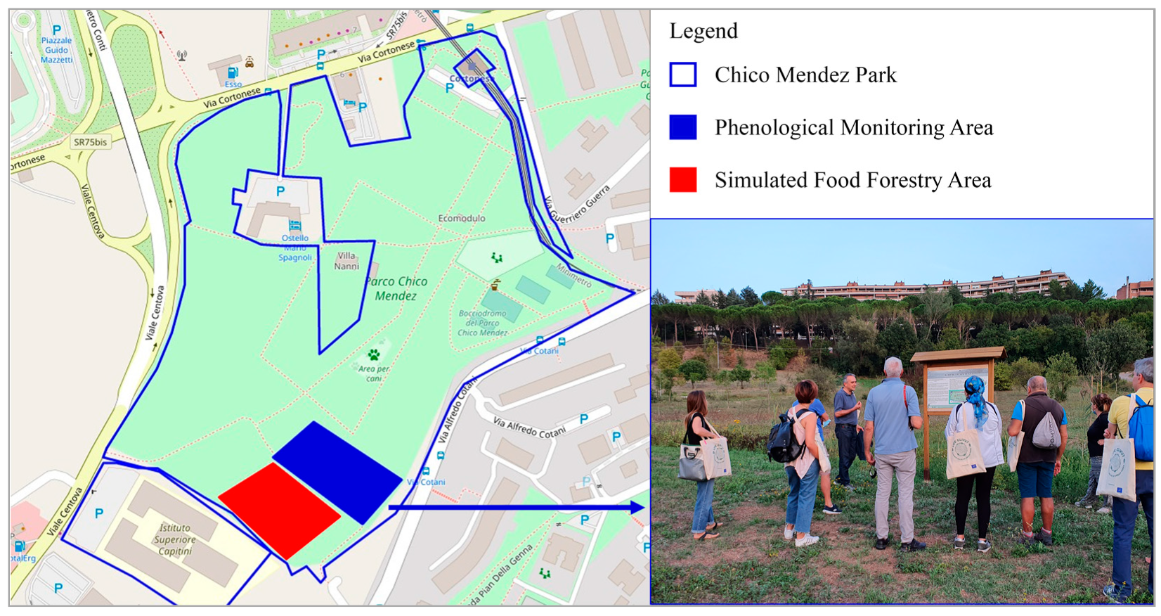 Sustainability 16 02081 g001