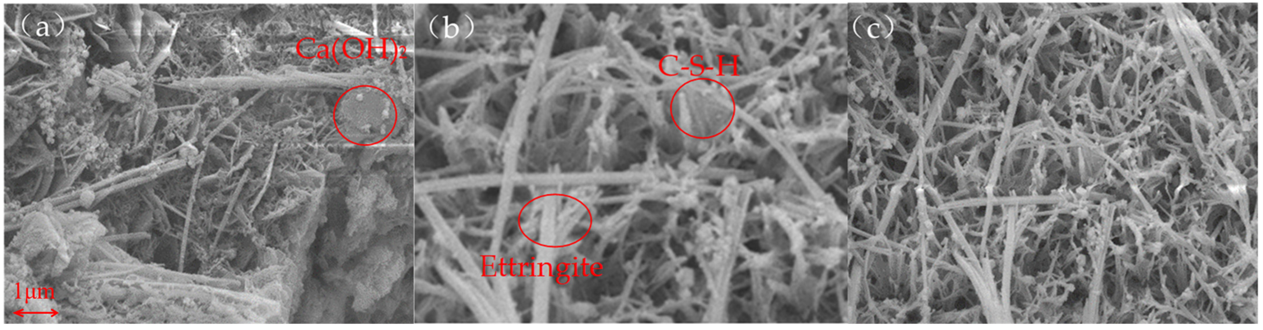 Sustainability 16 02083 g008