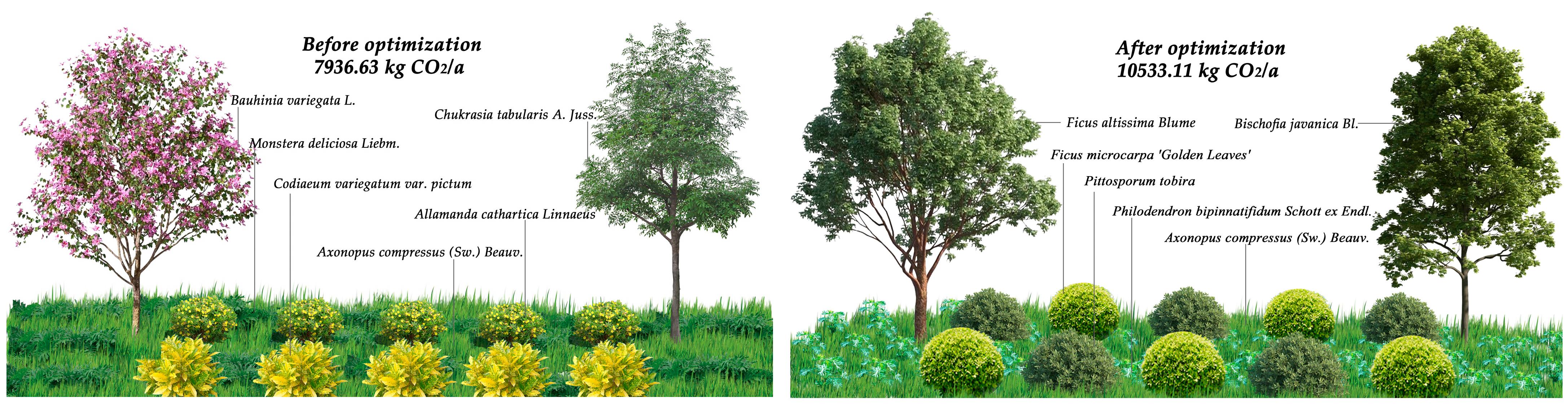 Sustainability 16 02097 g001