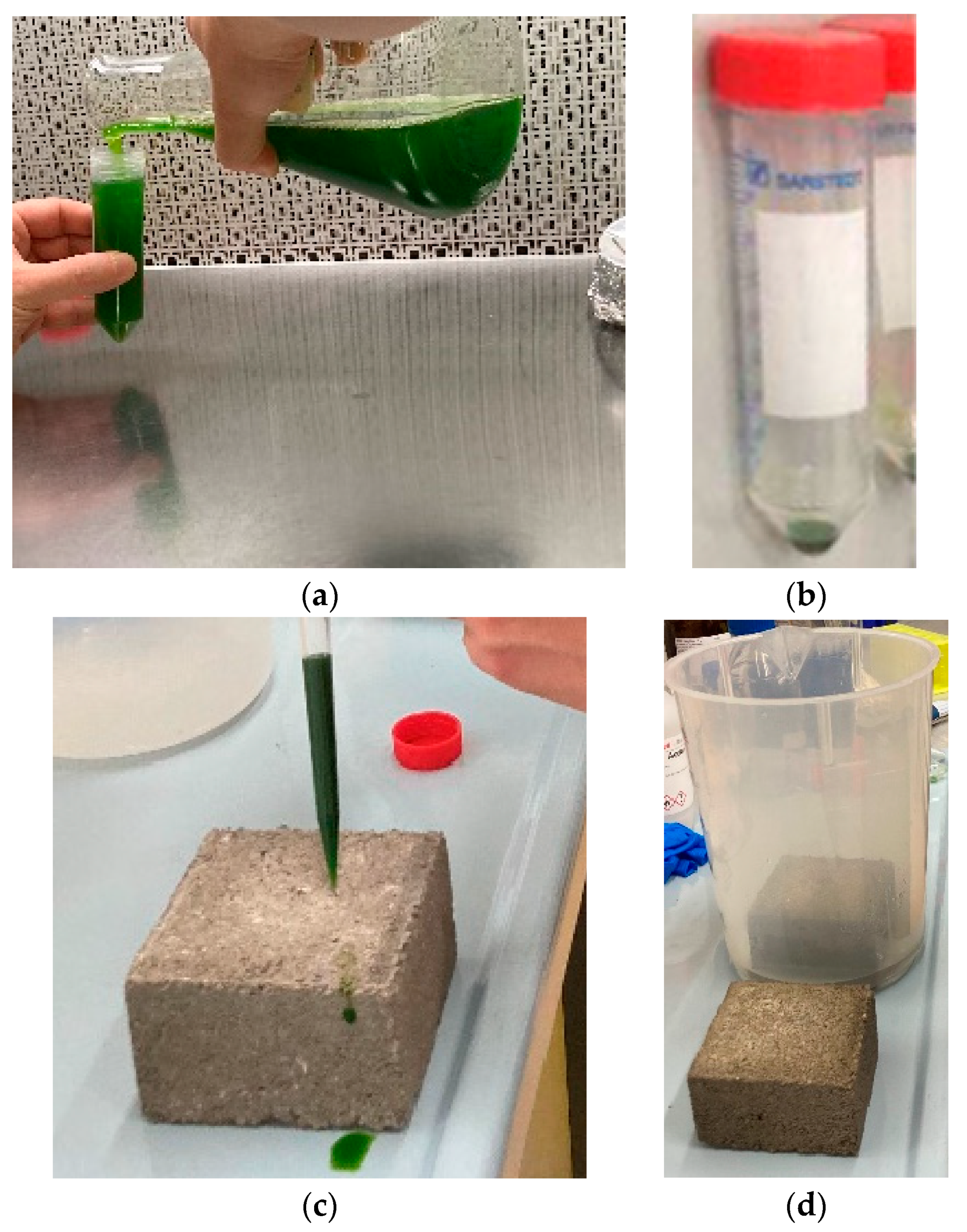 Sustainability 16 02147 g001