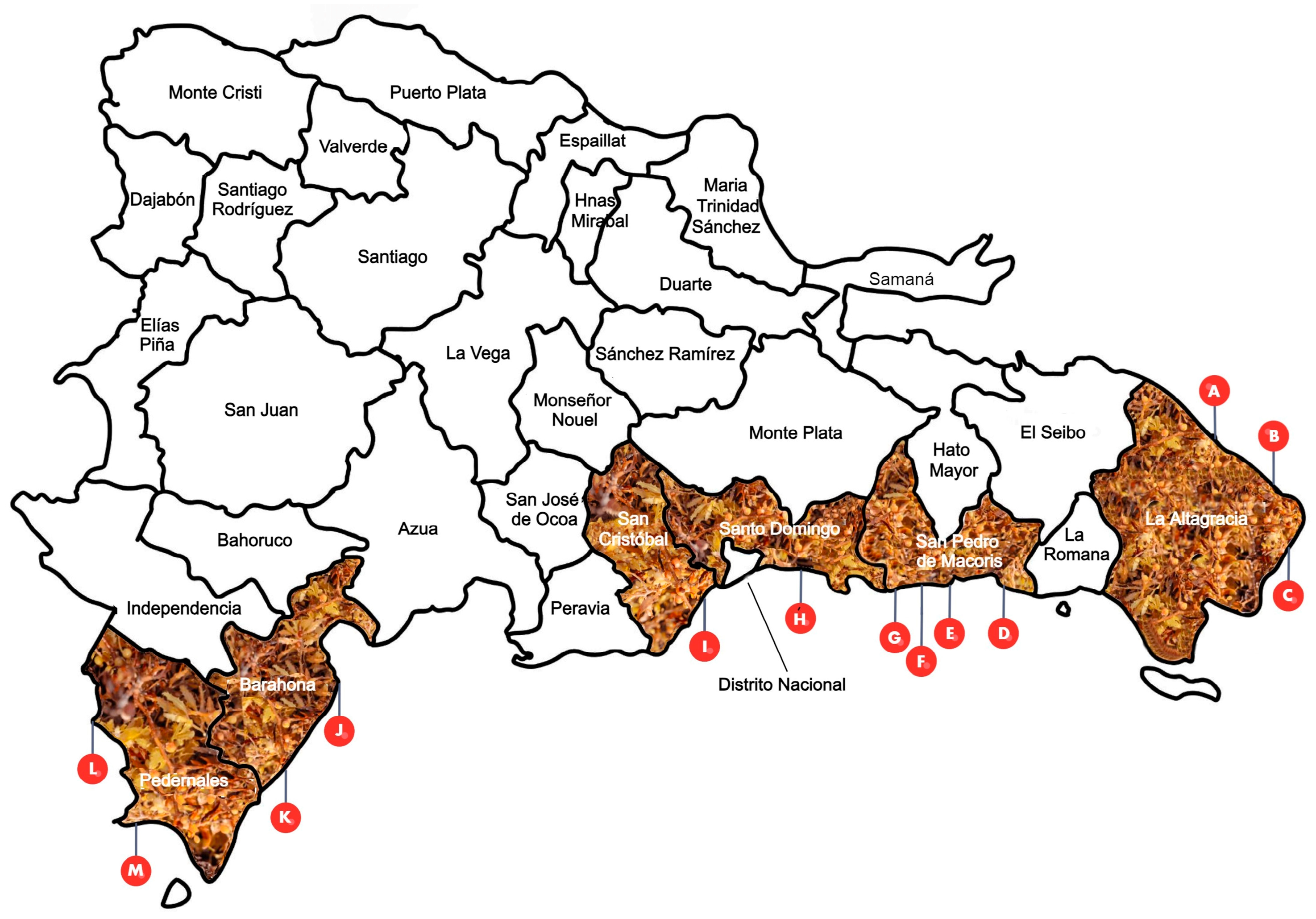 Sustainability 16 02186 g001