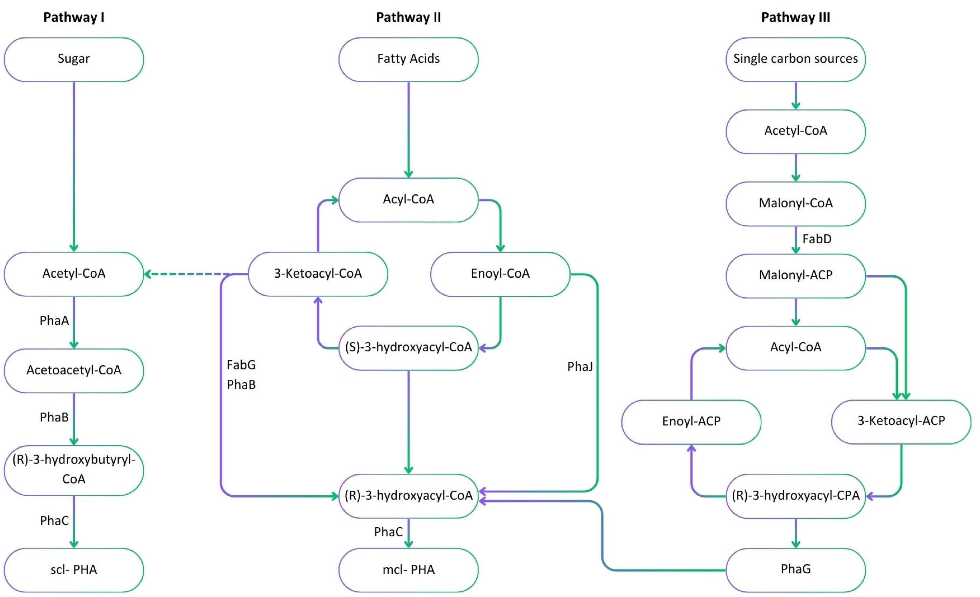 Sustainability 16 02200 g002