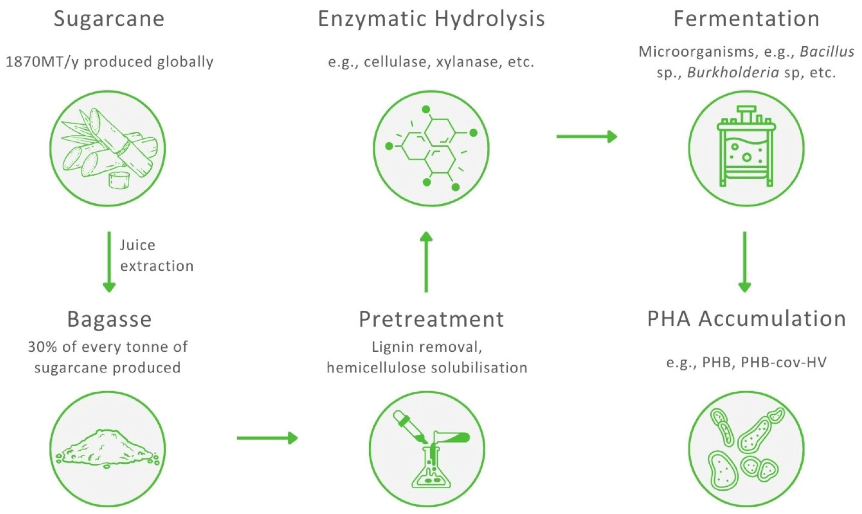 Sustainability 16 02200 g003