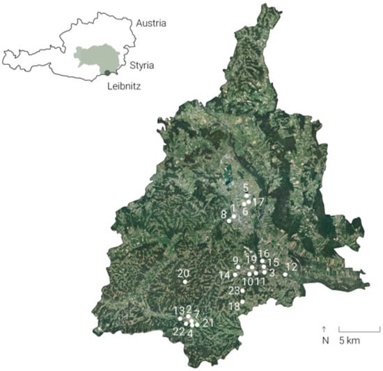 Sustainability 16 02216 g002