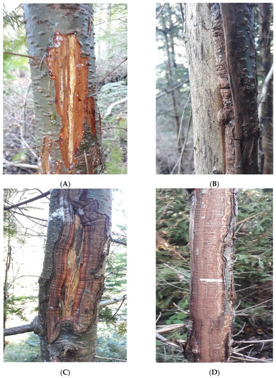 Sustainability 16 02293 g0a1