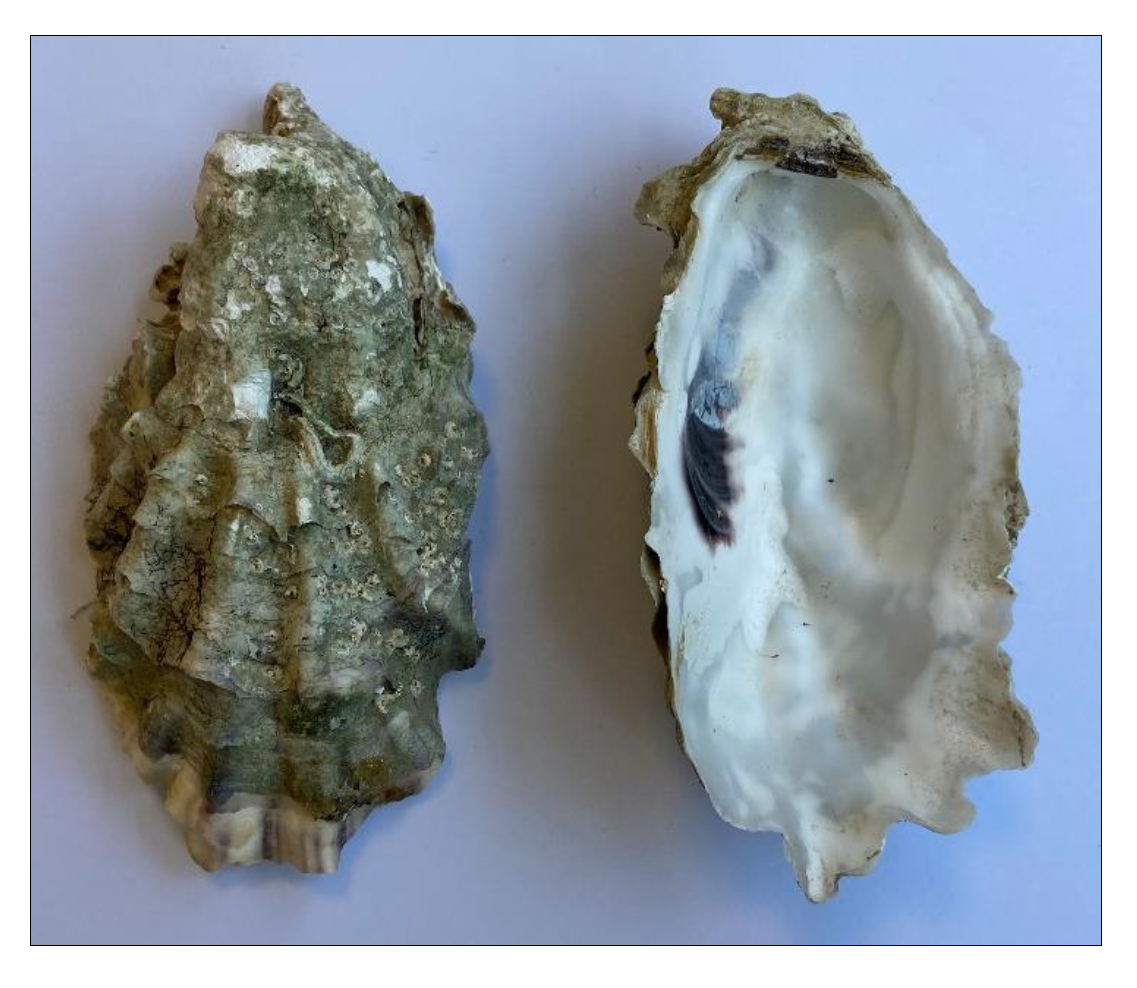 Sustainability 16 02297 g002