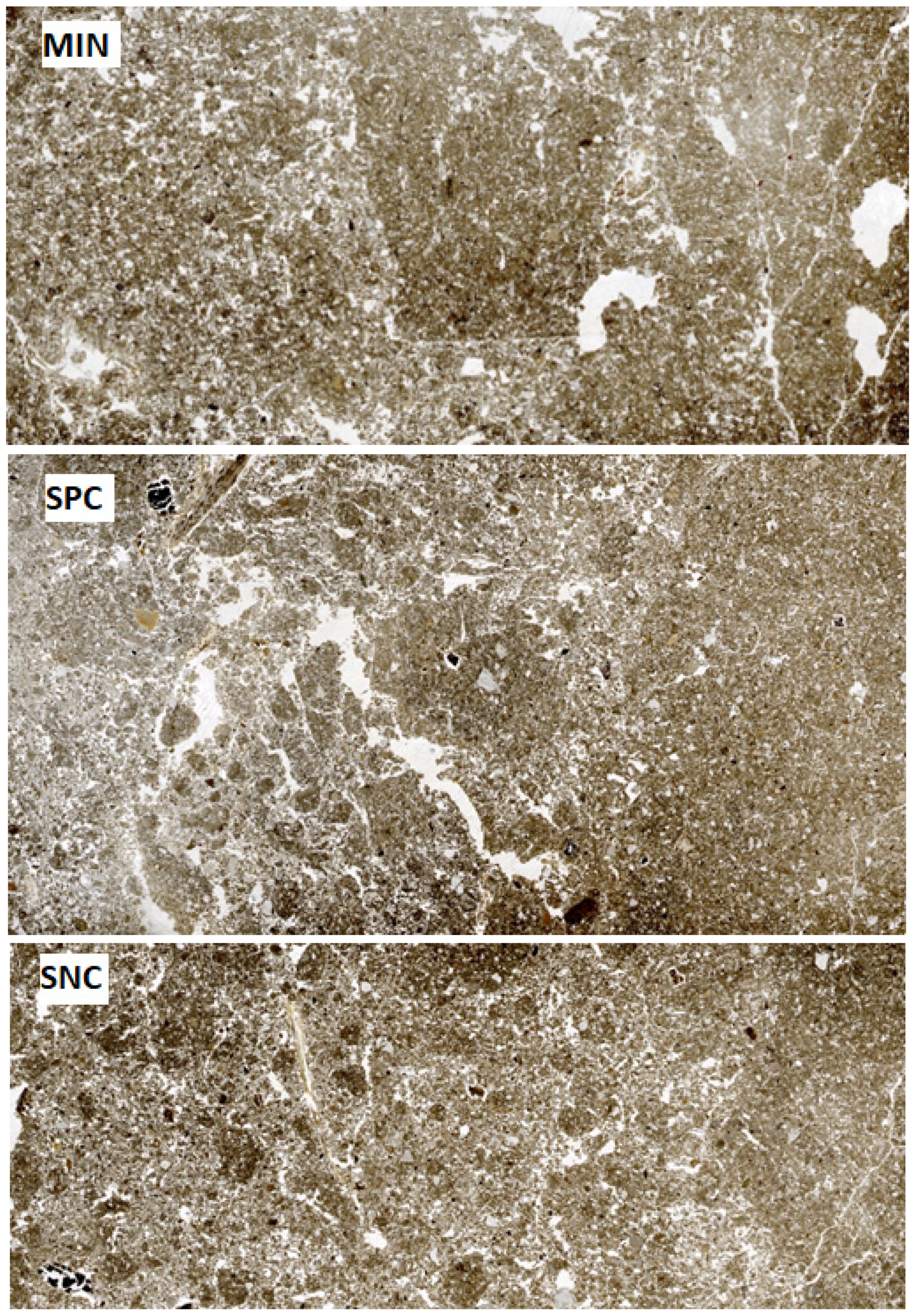 Sustainability 16 02304 g003