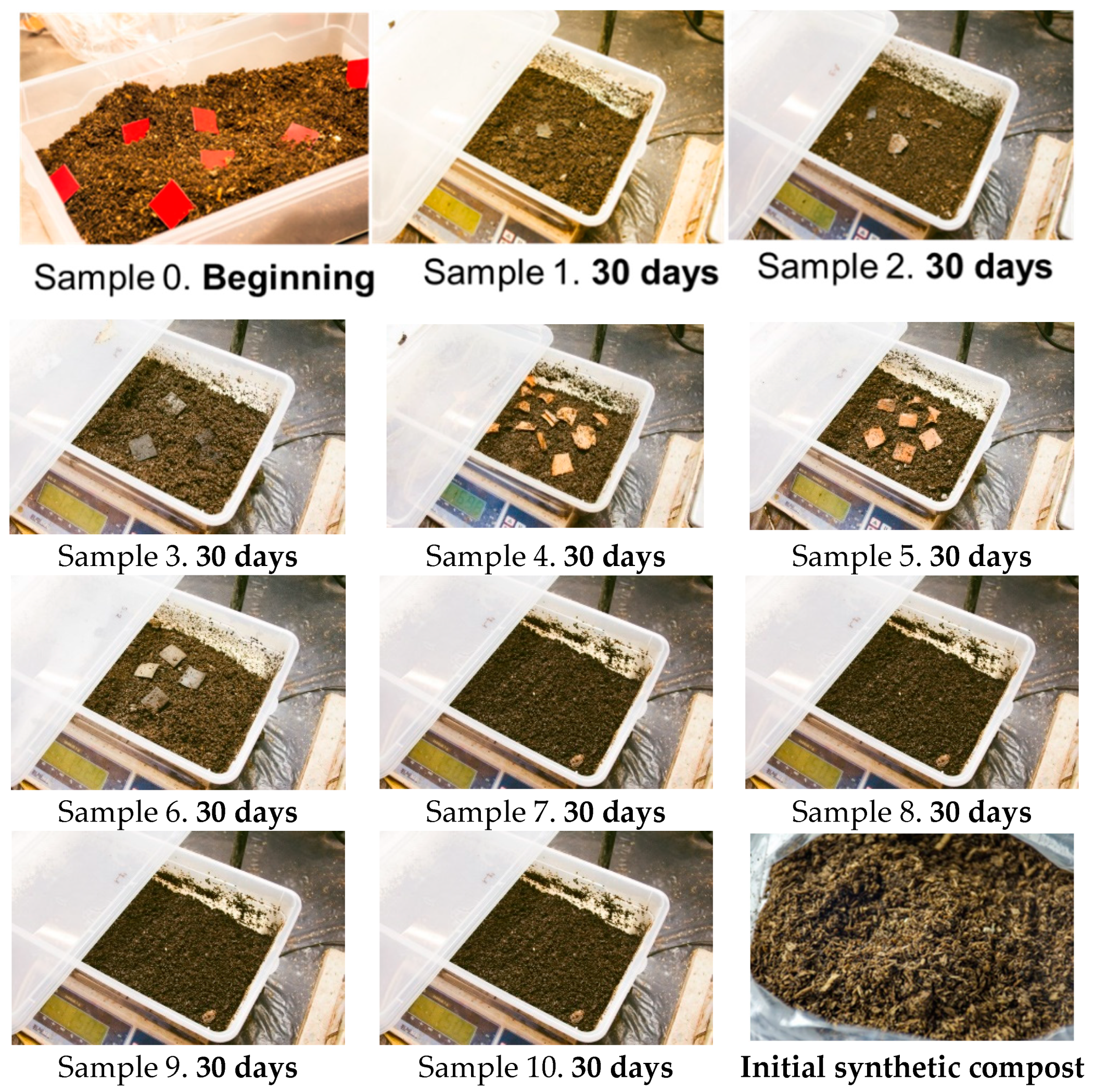 Sustainability 16 02324 g001