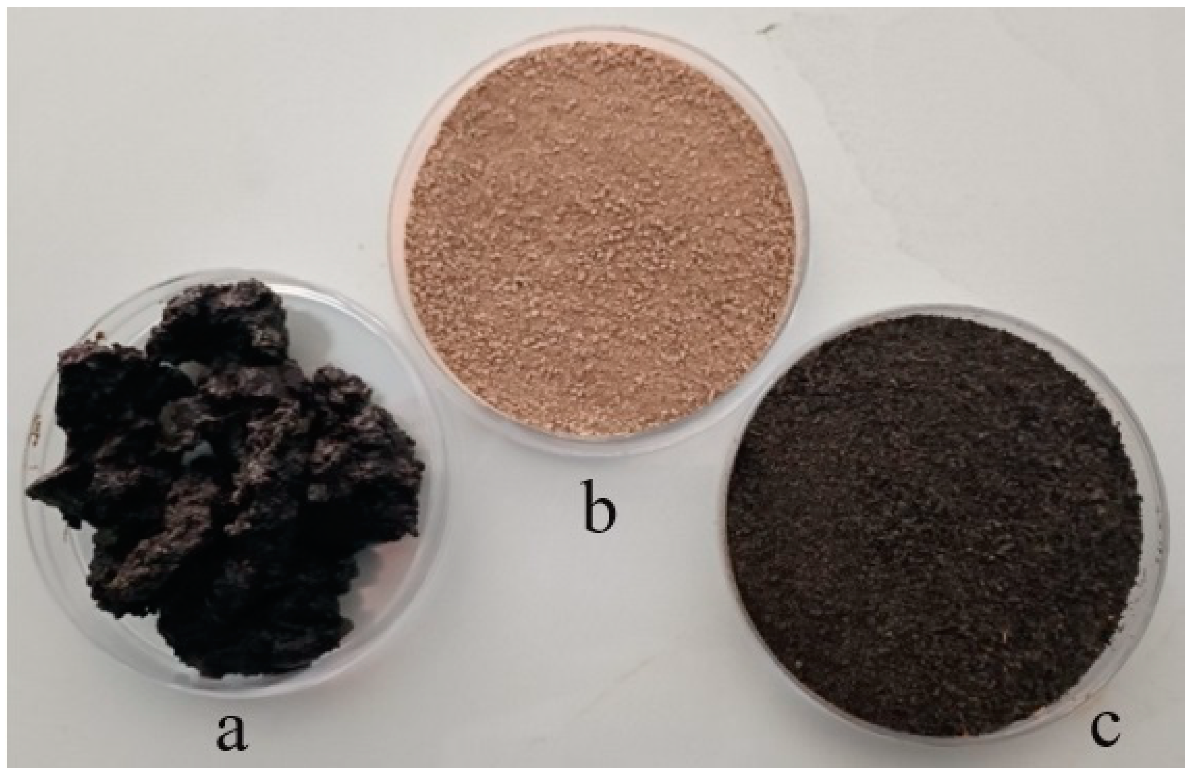 Sustainability 16 02327 g001