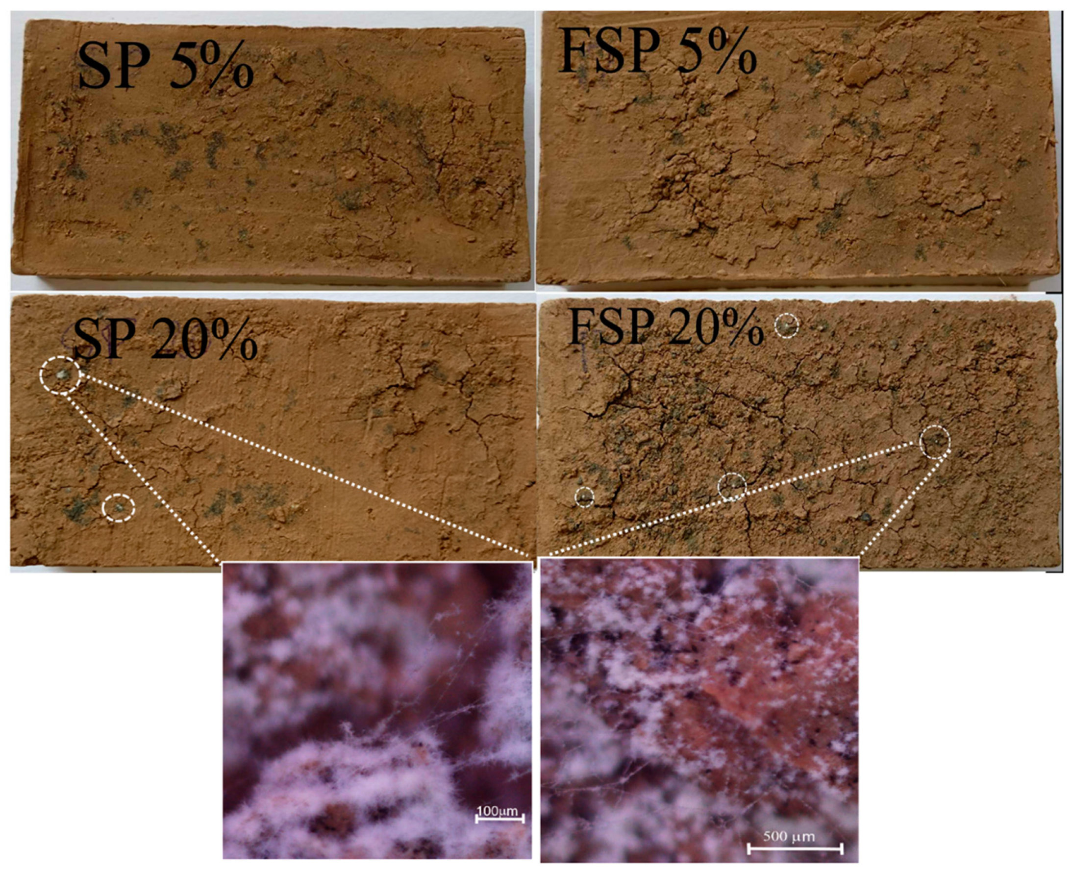 Sustainability 16 02327 g008