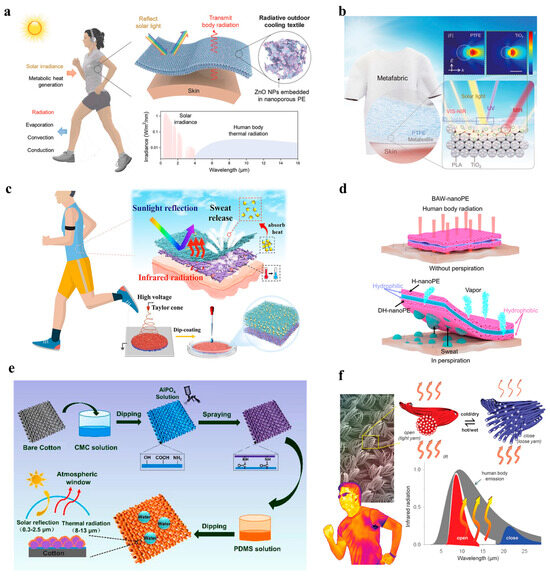 Sustainability 16 02346 g006