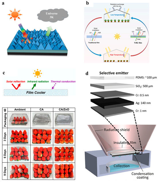 Sustainability 16 02346 g007