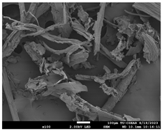 Sustainability 16 02352 i010