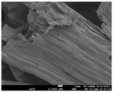 Sustainability 16 02352 i011