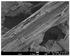 Sustainability 16 02352 i013