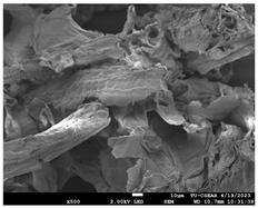 Sustainability 16 02352 i015