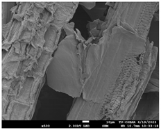 Sustainability 16 02352 i017