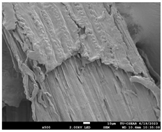 Sustainability 16 02352 i019