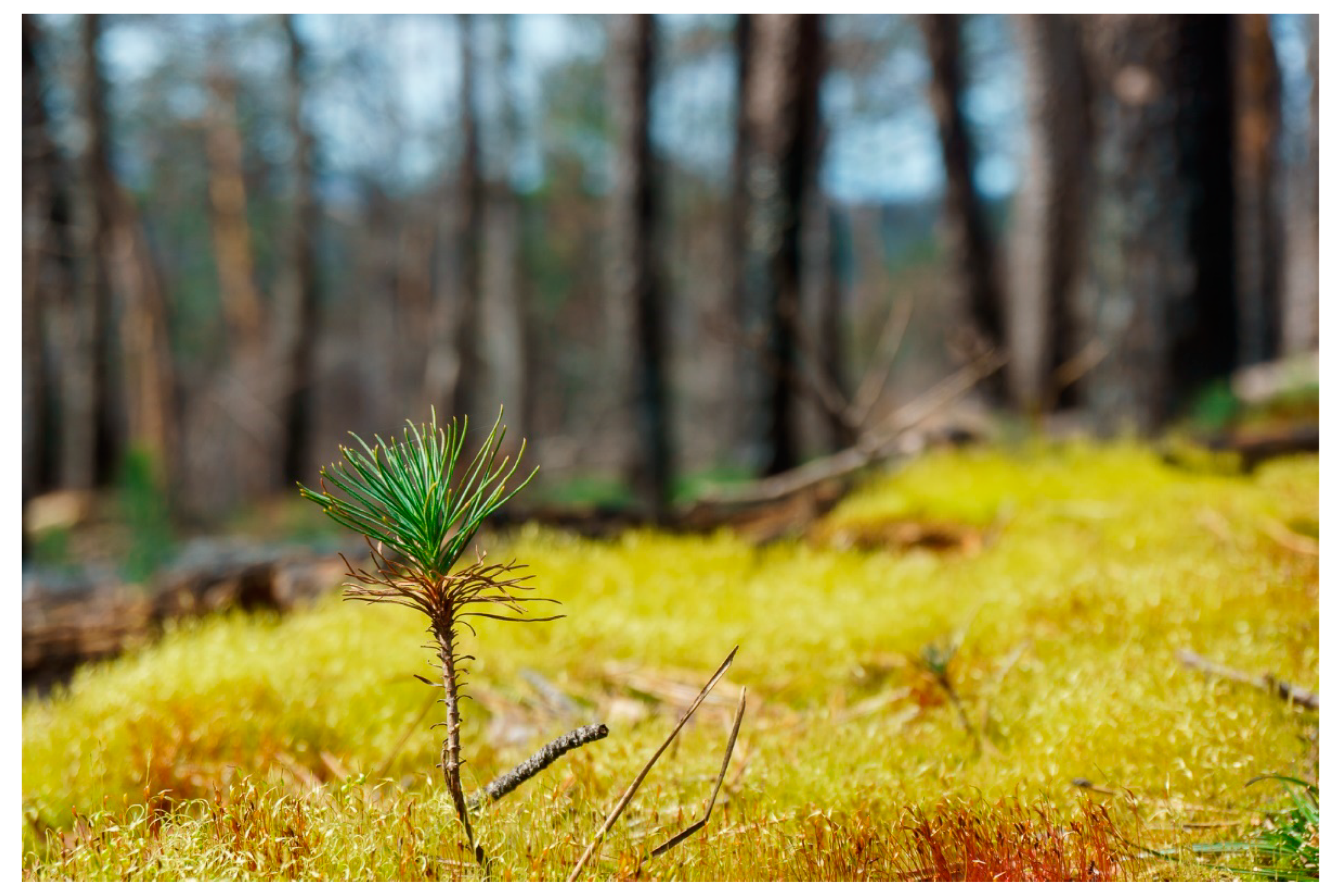 Sustainability 16 02359 g005 Sustainability 16 02359 g005