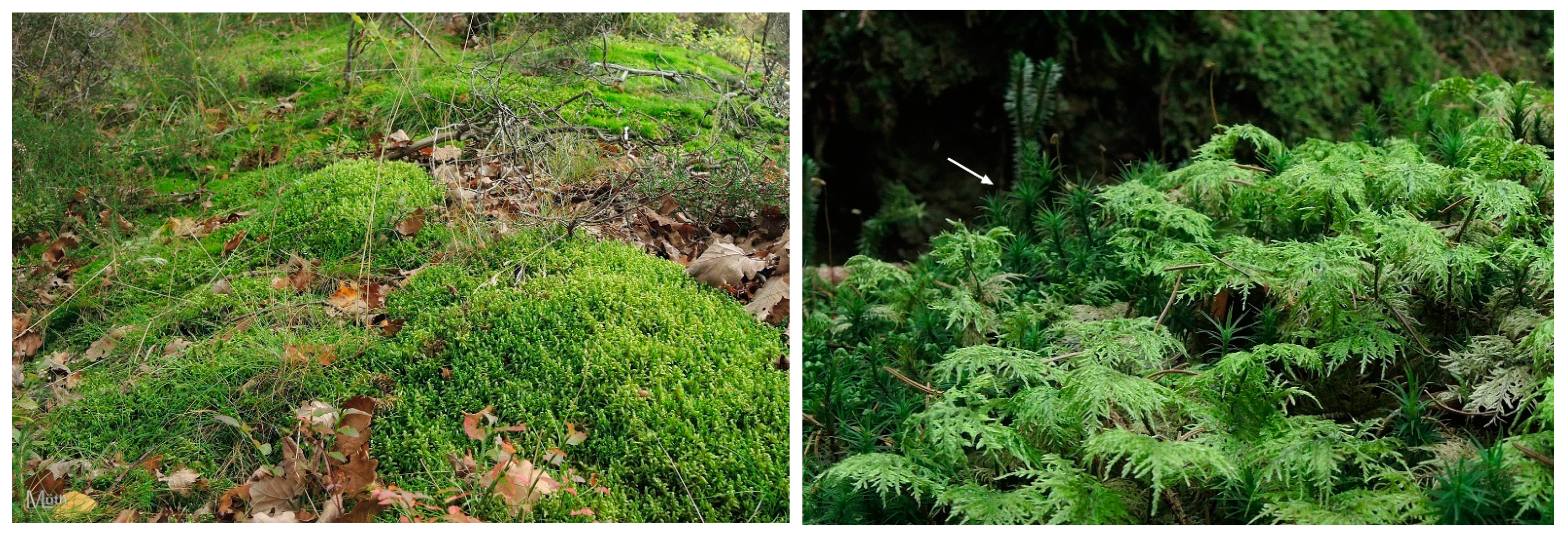 Sustainability 16 02359 g006 Sustainability 16 02359 g006