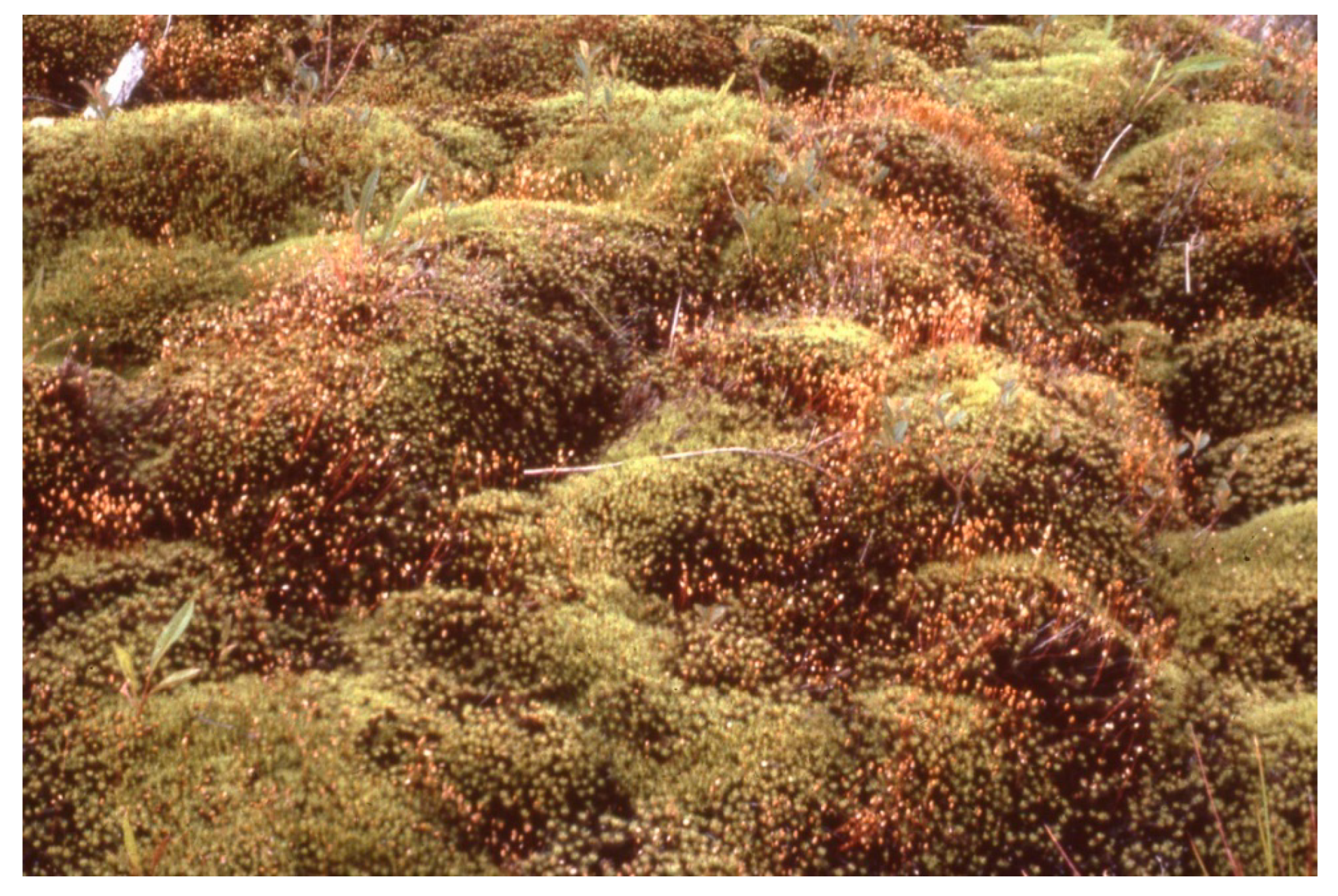 Sustainability 16 02359 g008 Sustainability 16 02359 g008