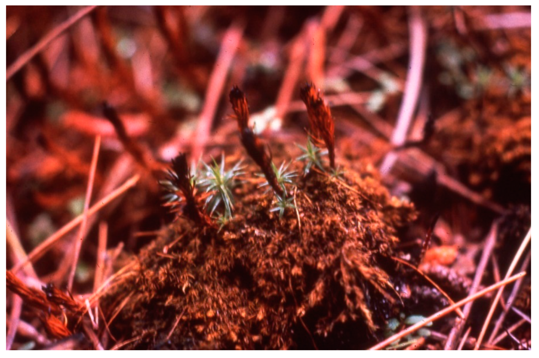 Sustainability 16 02359 g009 Sustainability 16 02359 g009