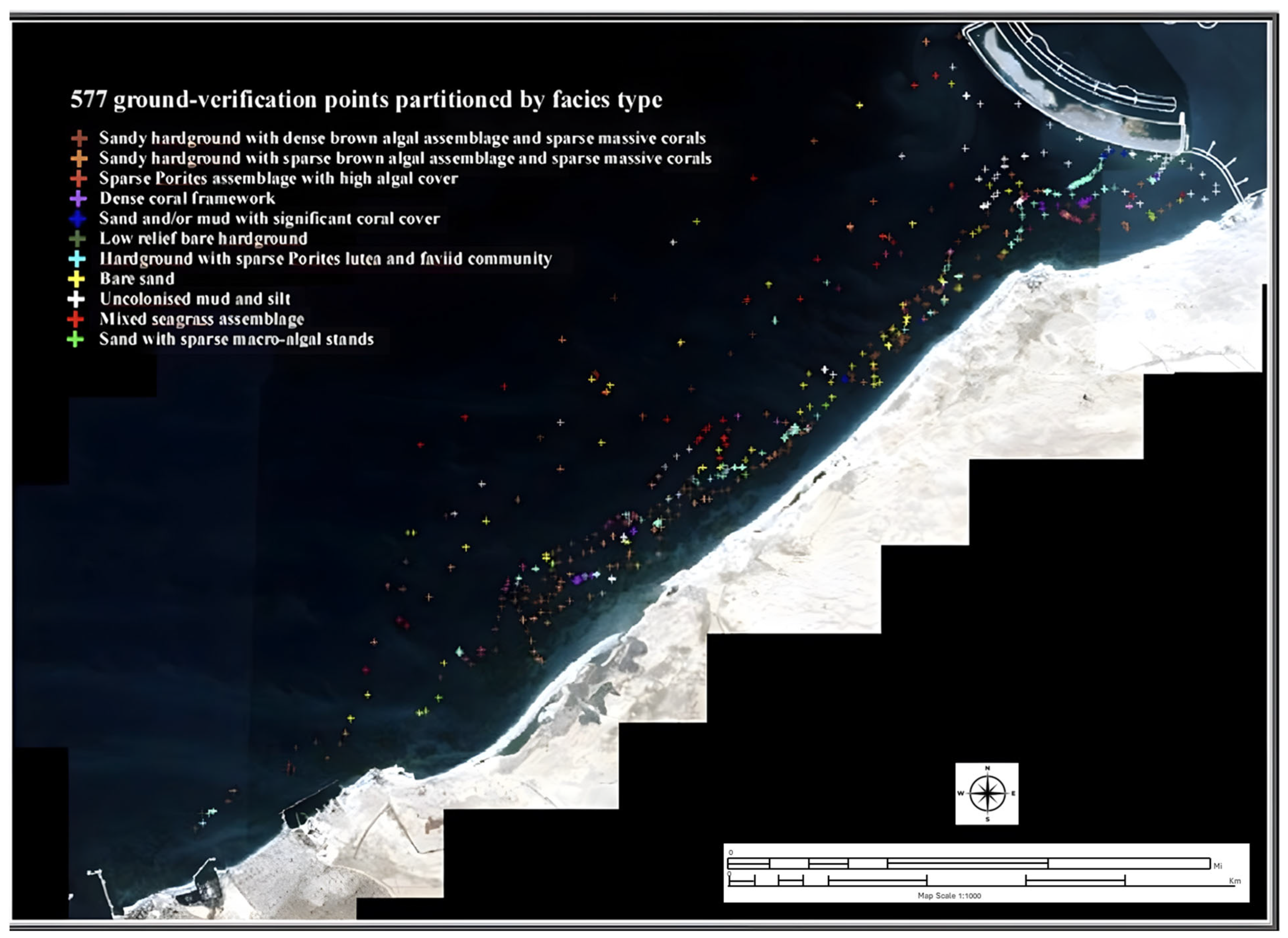 Sustainability 16 02374 g003