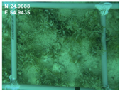 Sustainability 16 02374 i001 Sustainability 16 02374 i001