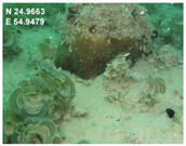 Sustainability 16 02374 i003 Sustainability 16 02374 i003