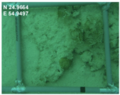 Sustainability 16 02374 i004 Sustainability 16 02374 i004