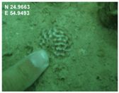 Sustainability 16 02374 i005 Sustainability 16 02374 i005