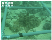 Sustainability 16 02374 i006 Sustainability 16 02374 i006