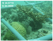 Sustainability 16 02374 i007 Sustainability 16 02374 i007