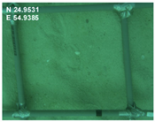 Sustainability 16 02374 i008 Sustainability 16 02374 i008