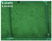 Sustainability 16 02374 i009 Sustainability 16 02374 i009