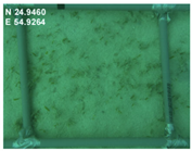 Sustainability 16 02374 i010 Sustainability 16 02374 i010