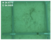 Sustainability 16 02374 i011 Sustainability 16 02374 i011