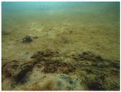 Sustainability 16 02374 i018 Sustainability 16 02374 i018