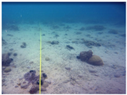 Sustainability 16 02374 i020 Sustainability 16 02374 i020