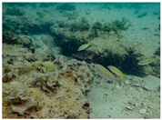 Sustainability 16 02374 i021 Sustainability 16 02374 i021