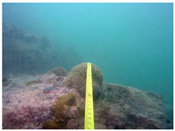 Sustainability 16 02374 i022 Sustainability 16 02374 i022