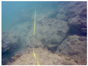 Sustainability 16 02374 i023 Sustainability 16 02374 i023