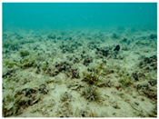 Sustainability 16 02374 i024 Sustainability 16 02374 i024