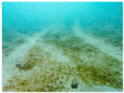 Sustainability 16 02374 i026 Sustainability 16 02374 i026