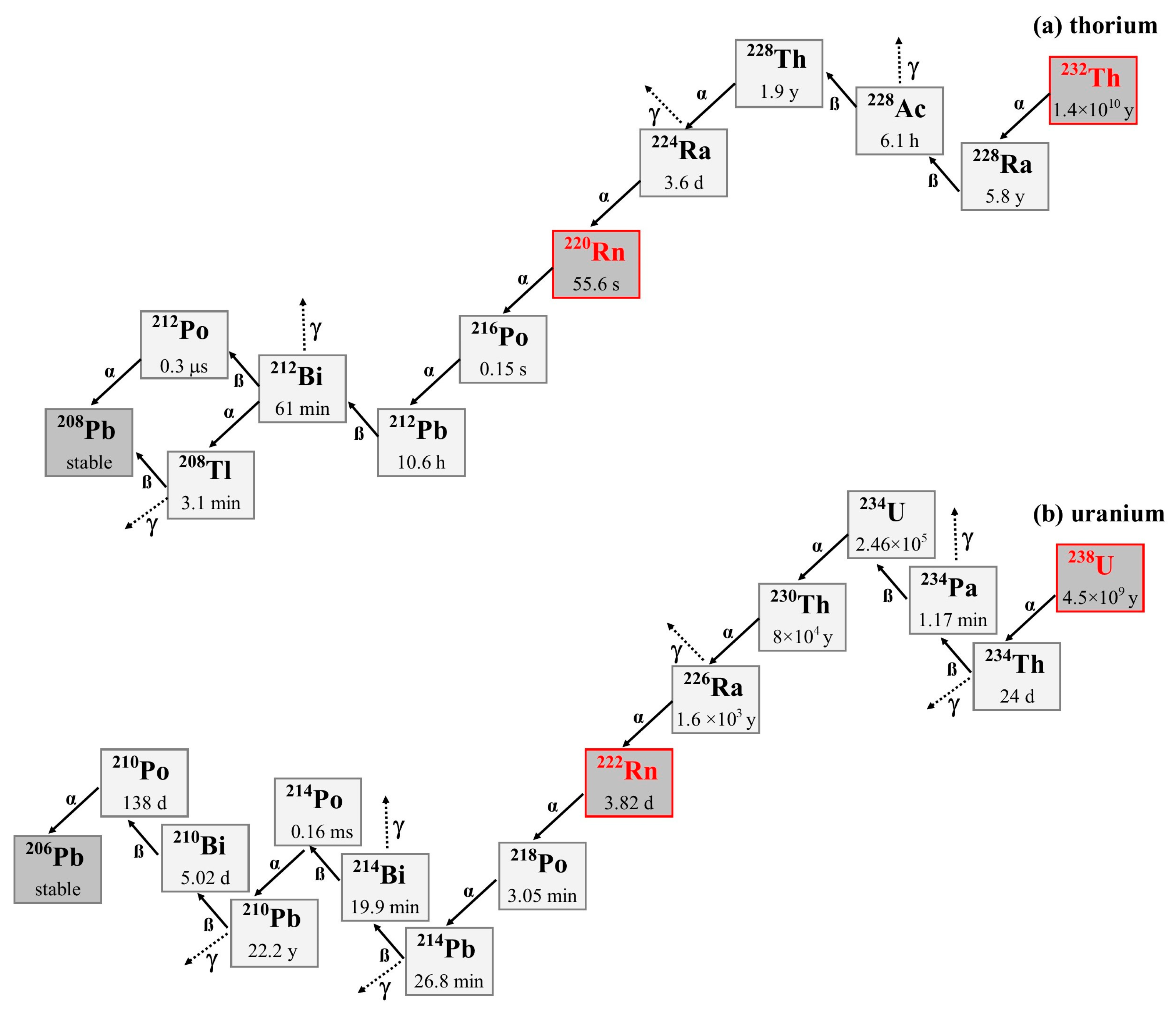 Sustainability 16 02424 g001