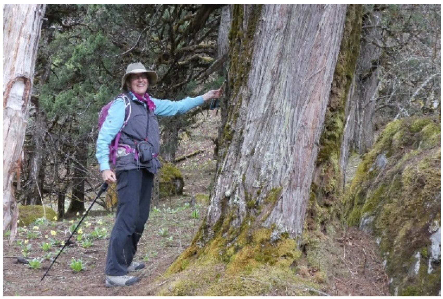 Sustainability 16 02434 g004