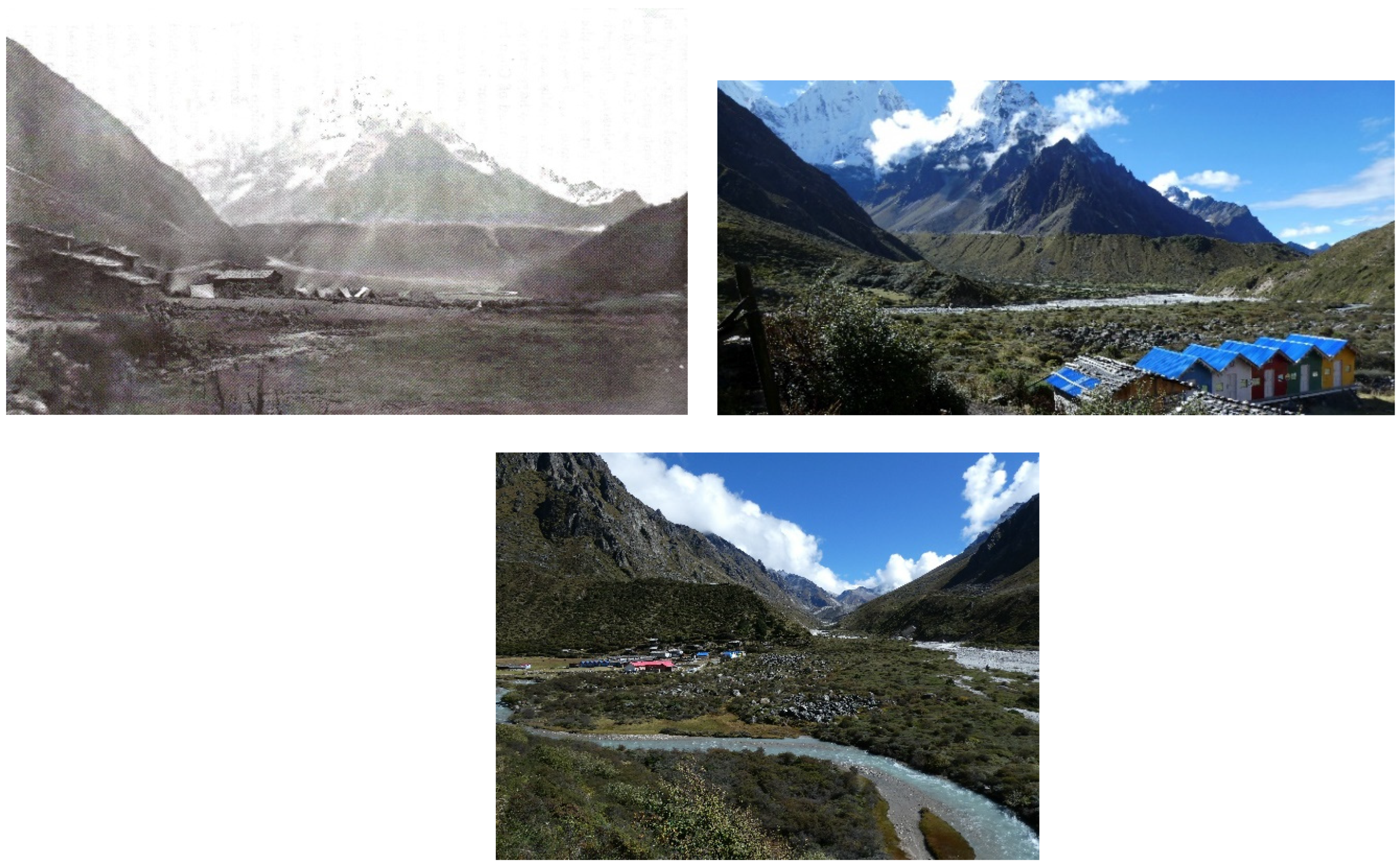 Sustainability 16 02434 g006